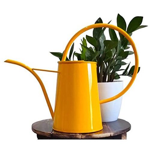 Metal-Watering-Can-online[1]