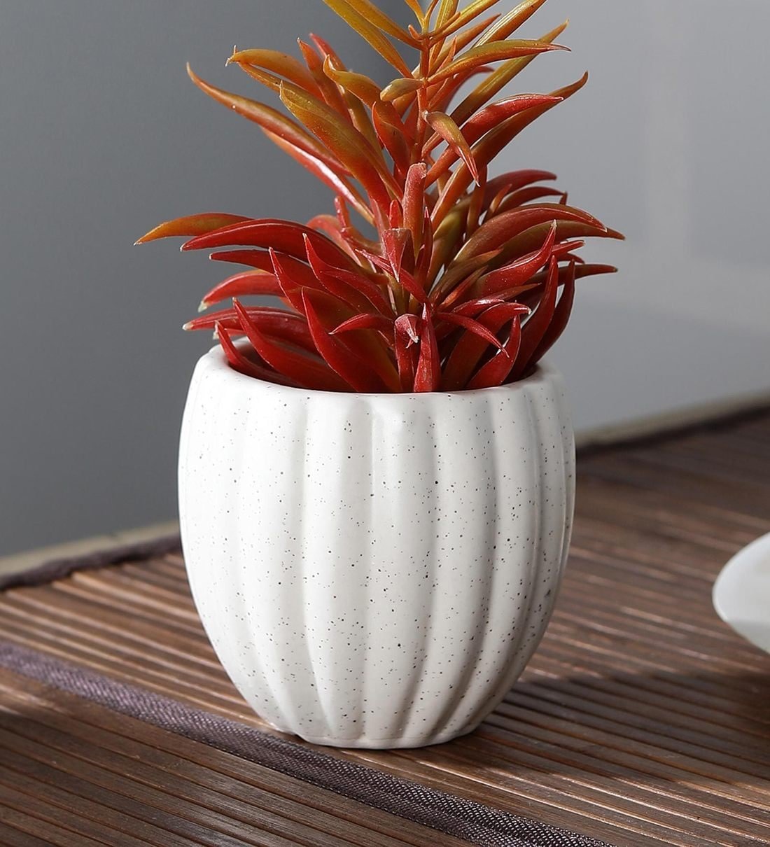 white-ceramic-pumkin-shaped-flower-pot---set-of-2-by-cdi-white-ceramic-pumkin-shaped-flower-pot---se-aelqmj
