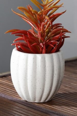 Ceramic Pot
